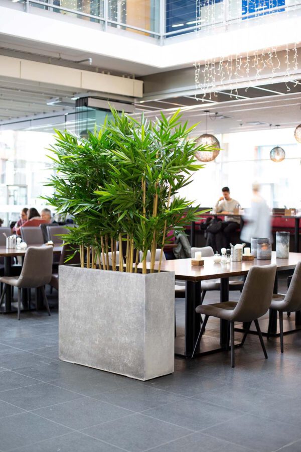 Roccastone Raumteiler 100 x 35 x 80 cm