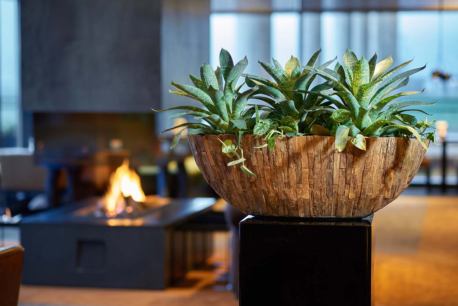 Woody Tischgefäß 75 cm - Image 1