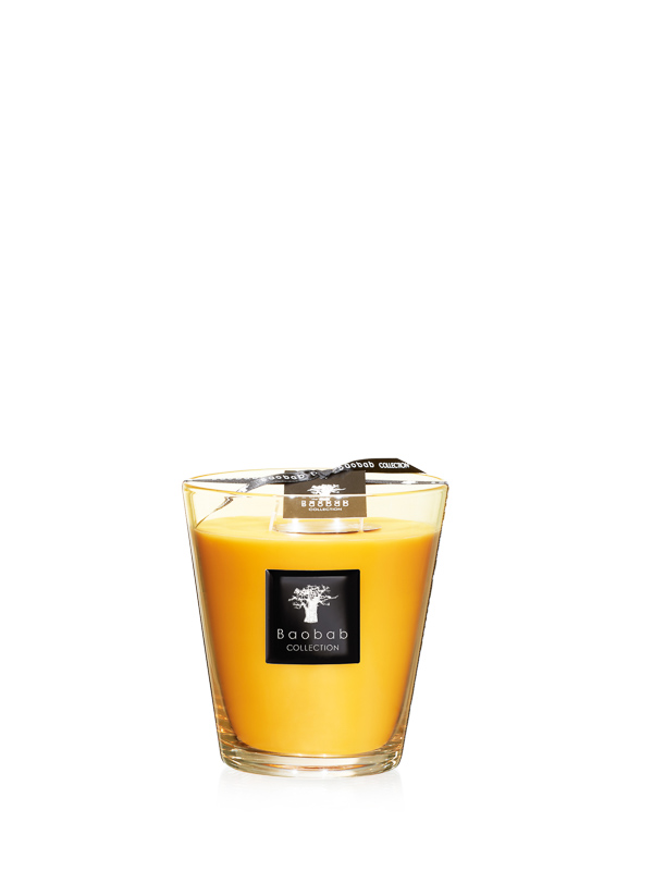 Zanzibar Spices Max 16