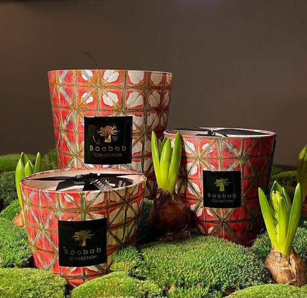 Bohomania Gyula Max24