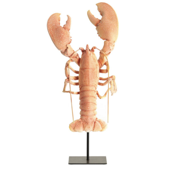 Ornament LOBSTER