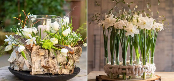 Test-Angebote (Copy)