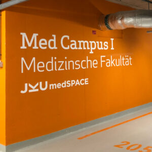 2D-BUCHSTABEN - Image 5