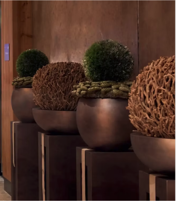 Exklusive Statement Pieces