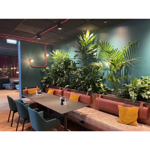 Grüne Highlights Innenraum Begrünung