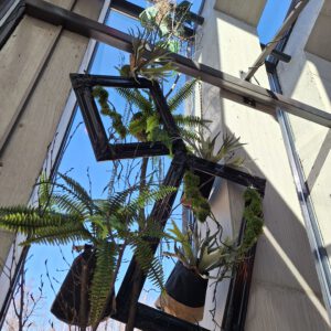 Grüne Highlights Innenraum Begrünung - Image 2