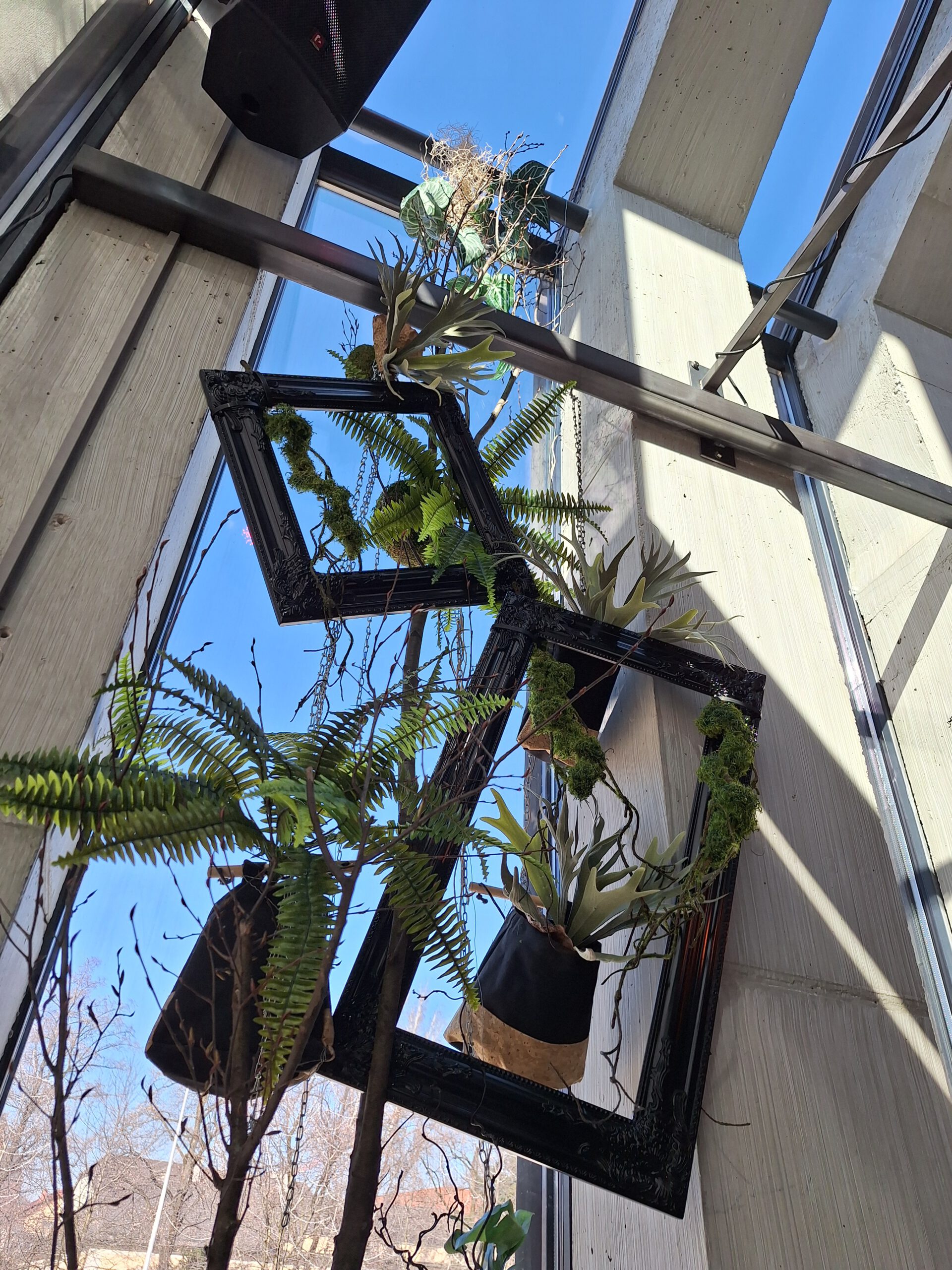 Grüne Highlights Innenraum Begrünung - Image 2