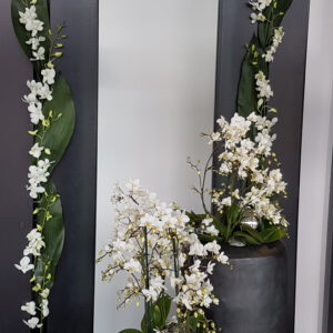 Grüne Highlights Innenraum Begrünung - Image 5