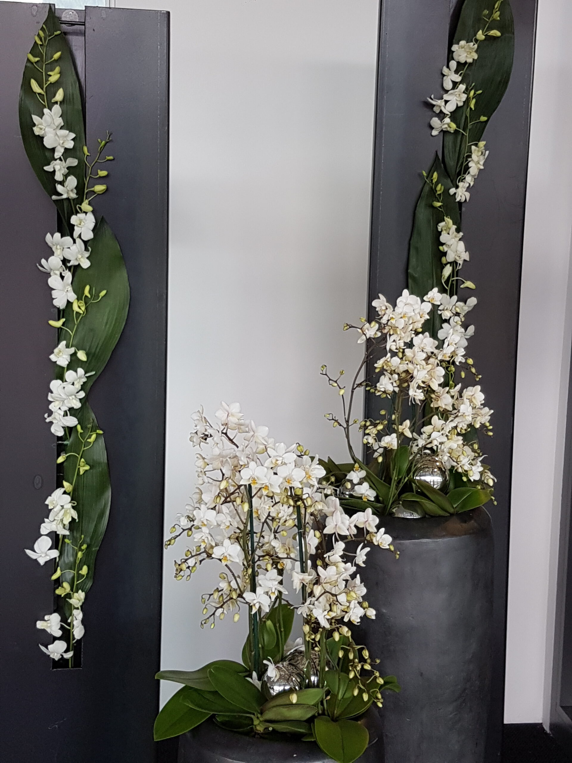 Grüne Highlights Innenraum Begrünung - Image 5