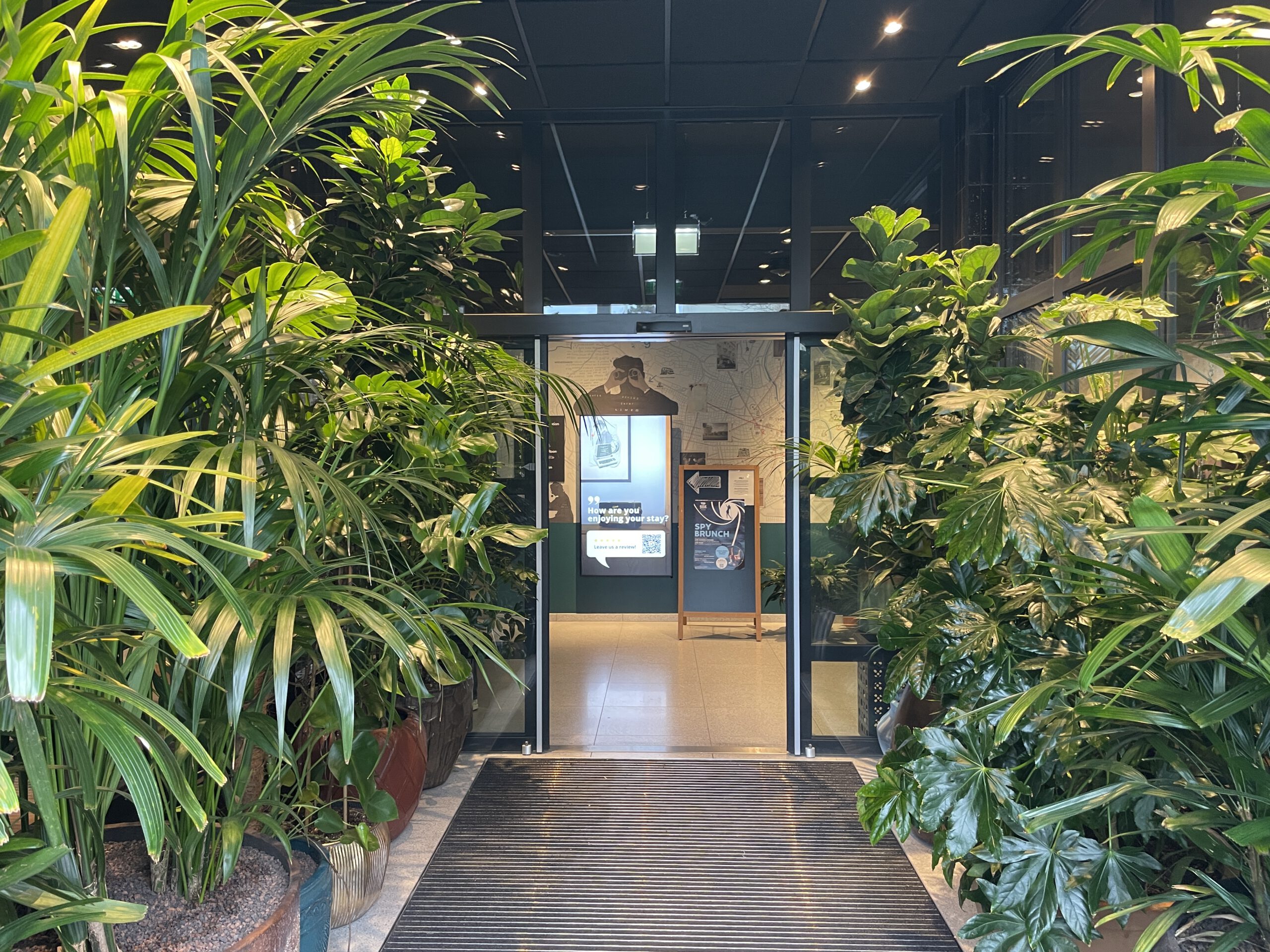 Grüne Highlights Innenraum Begrünung - Image 4