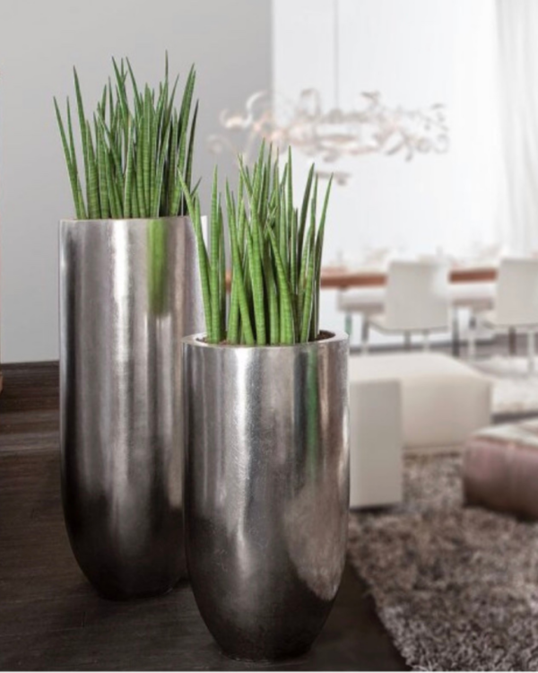 Grüne Highlights Innenraum Begrünung