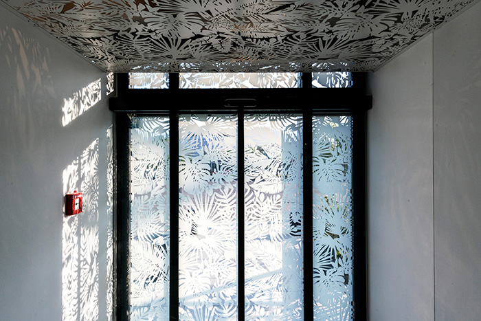 Druck auf FOLIE - Image 3