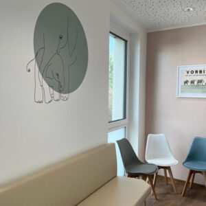 Druck auf FOLIE - Image 5