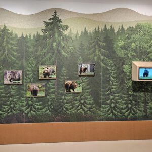 Druck auf AKUSTIK-VLIESE - Image 2