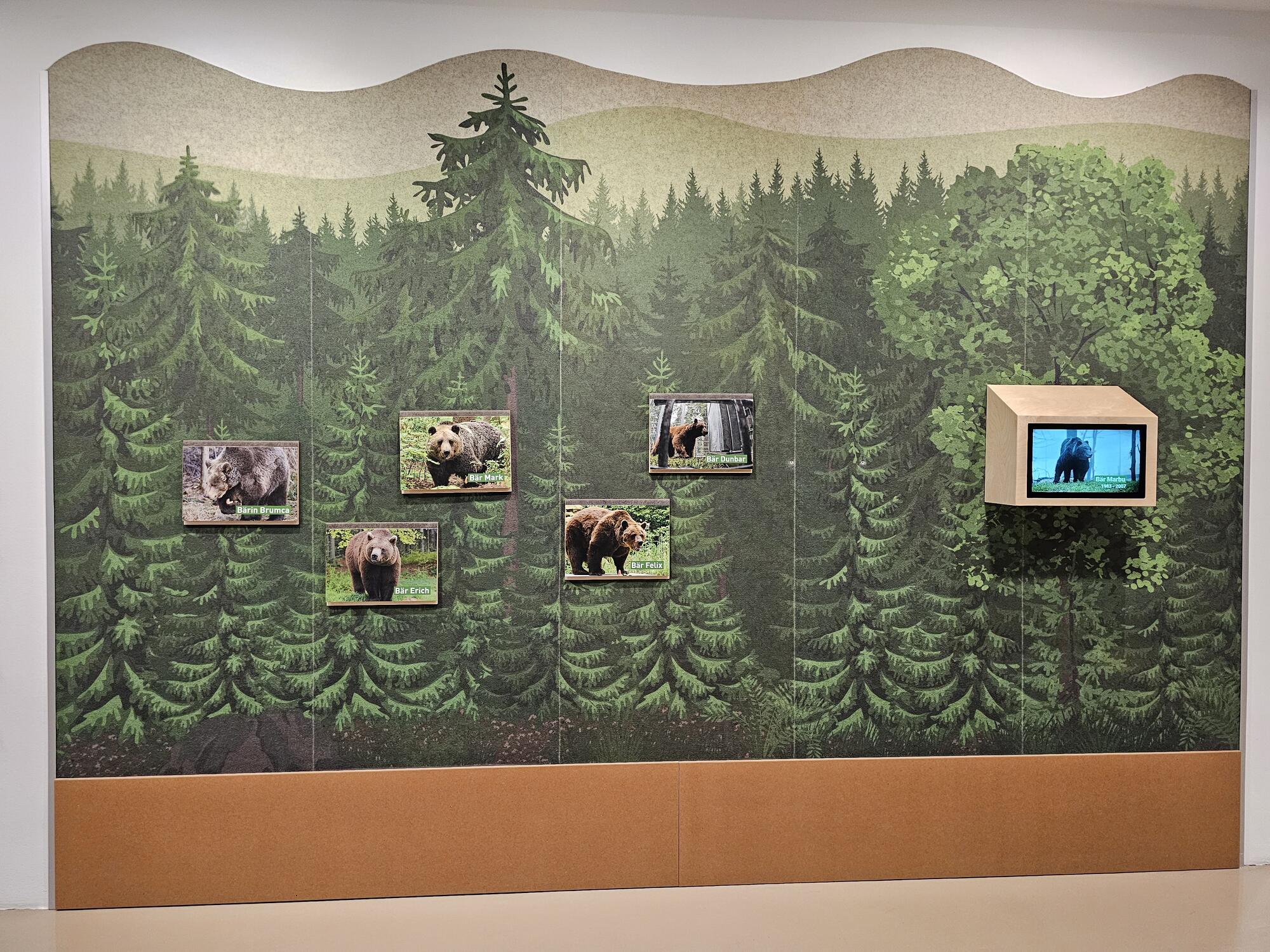 Druck auf AKUSTIK-VLIESE - Image 2