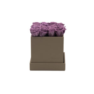 Rosenbox schlamm 16 x 16 x 16 cm - Image 2