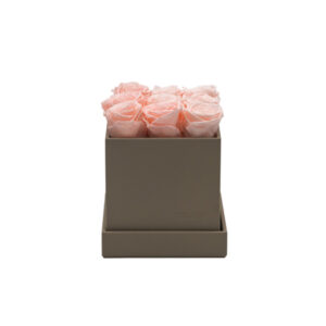 Rosenbox schlamm 16 x 16 x 16 cm - Image 1