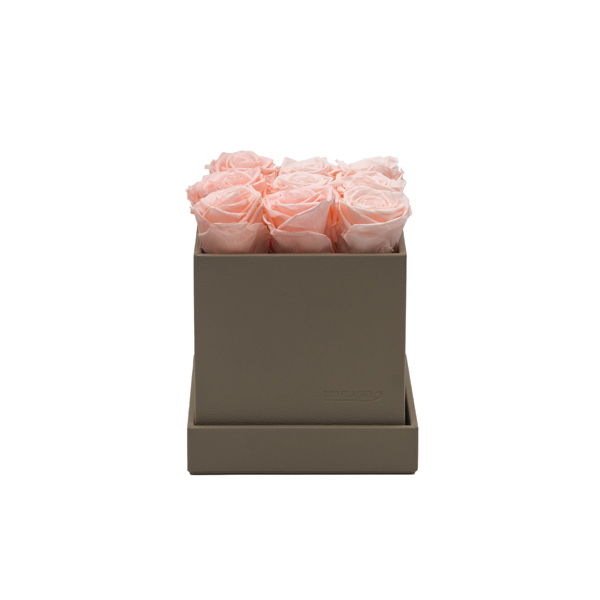 Rosenbox schlamm 16 x 16 x 16 cm