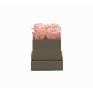 Rosenbox schlamm 11 x 11 x 11 cm - Image 2