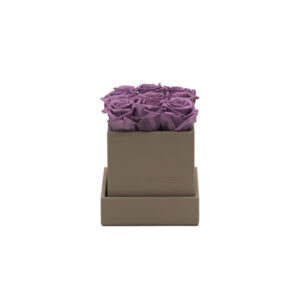 Rosenbox schlamm 11 x 11 x 11 cm - Image 1