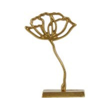 Ornament
PAPAVERU
gold