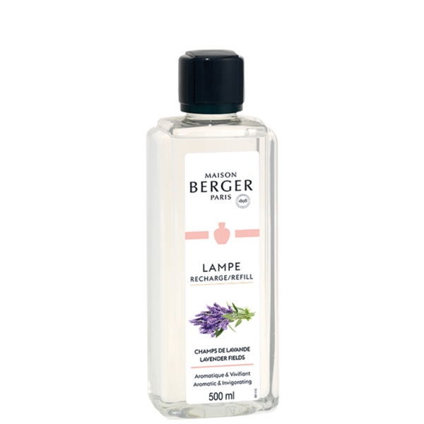 Champs de Lavande / Lavender Fields
