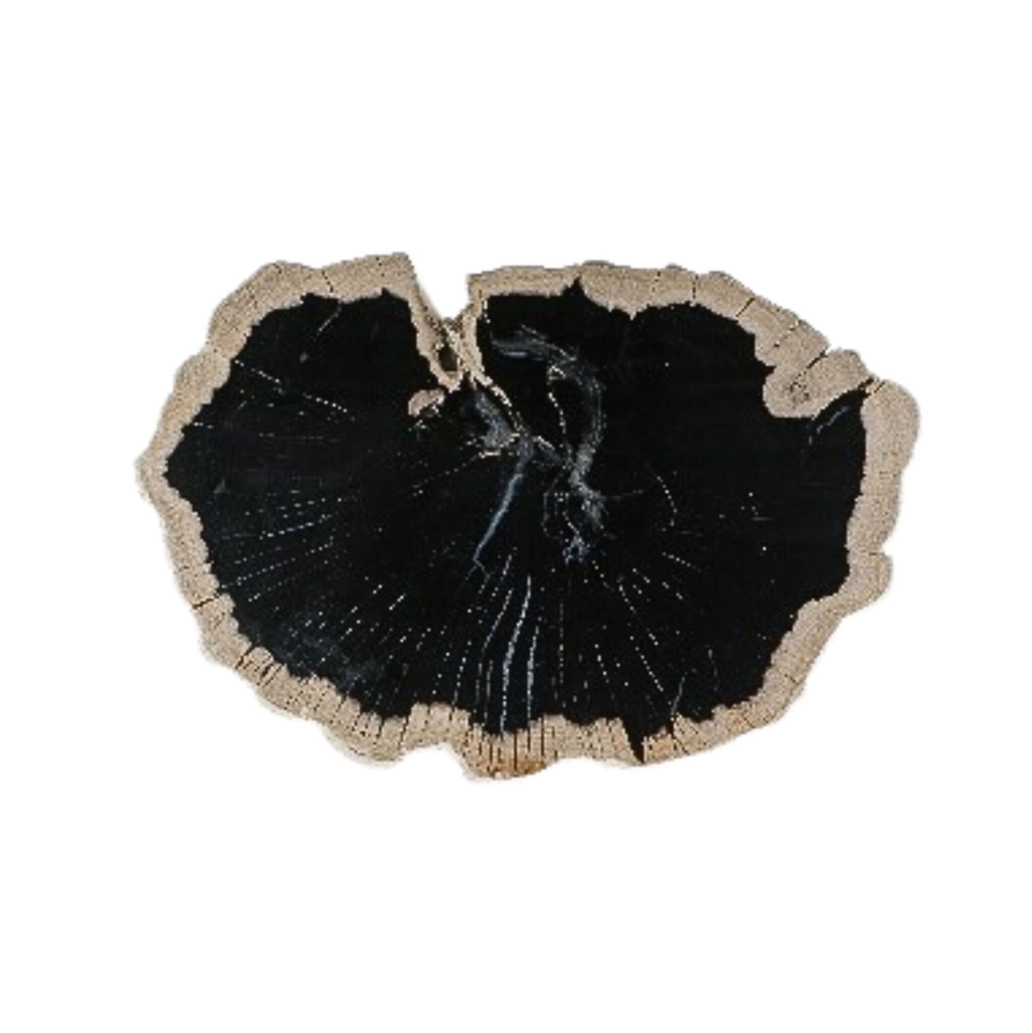 Schale - Image 1